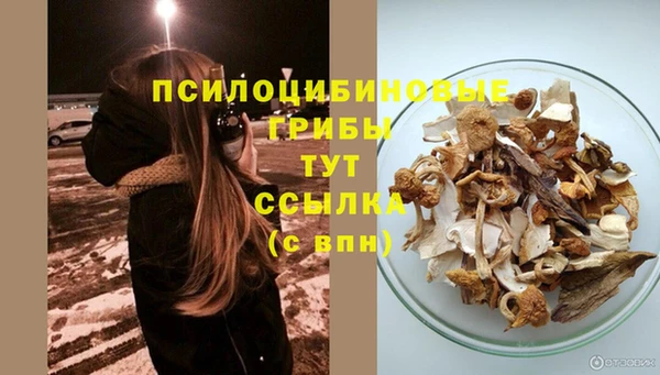 дживик Новочеркасск