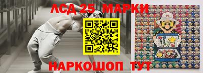 стафф Донской