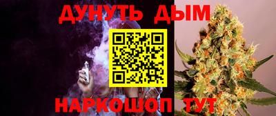гашик Гусь-Хрустальный