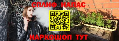 стафф Донской