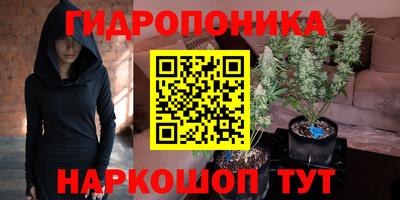стафф Донской