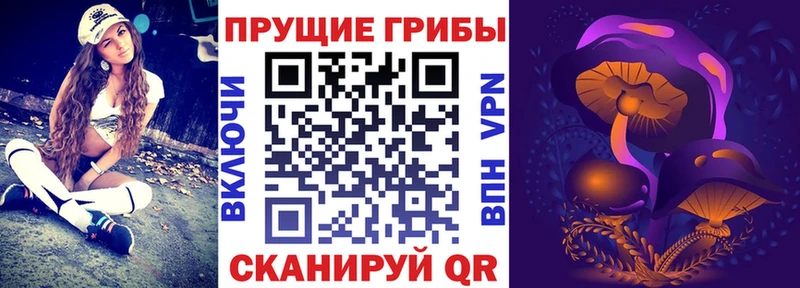 Псилоцибиновые грибы прущие грибы  MEGA ТОР  Зерноград 