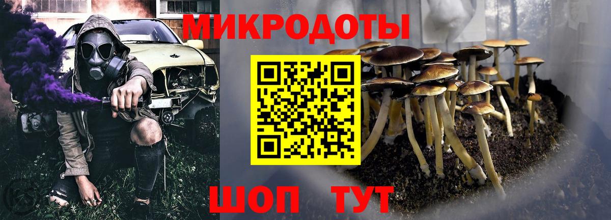 Галлюциногенные грибы MAGIC MUSHROOMS  Вход с VPN  Псилоцибиновые грибы Psilocybine cubensis  Зерноград 